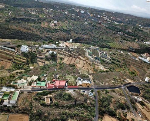 Pajara