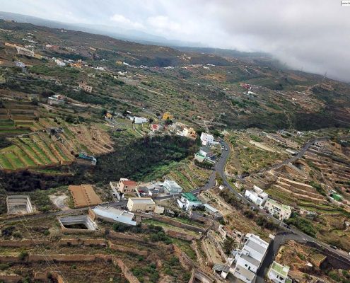 Pajara
