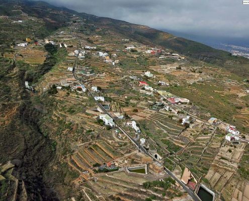 Pajara