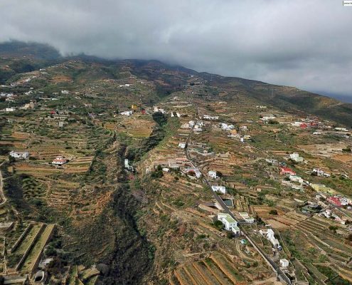 Pajara