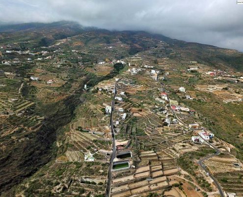 Pajara
